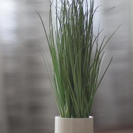 Navimyday Kwatera prywatna