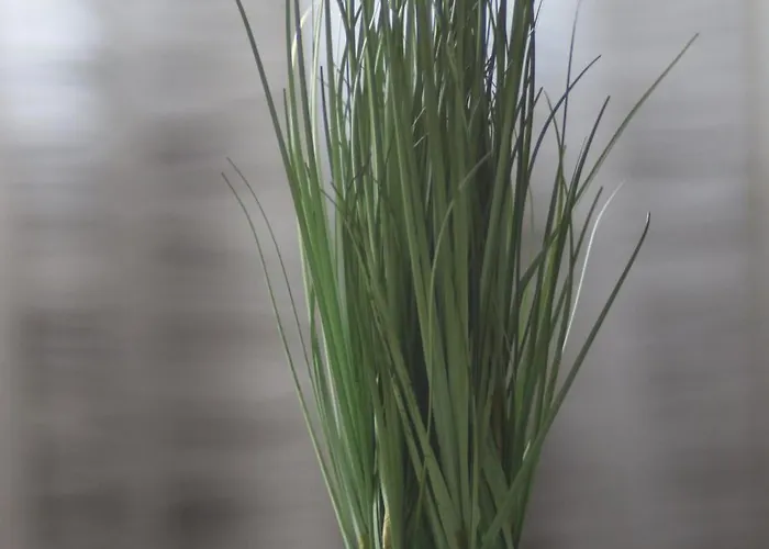 Navimyday Rum i privatbostad